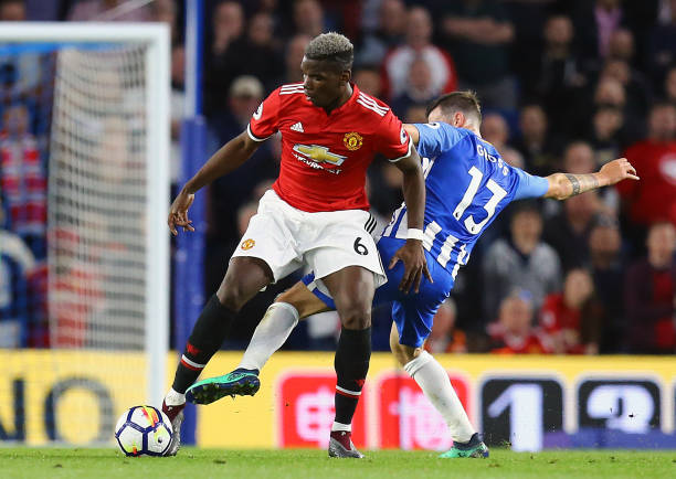 张本智和在 张本智和在